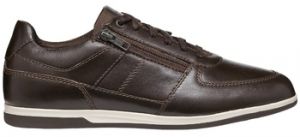 Derbie Geox  Baskets U RENAN