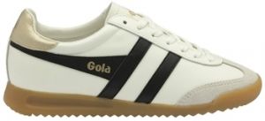 Derbie Gola  Baskets TORPEDO