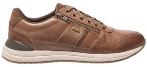 Derbie TBS  Baskets SULIZIP