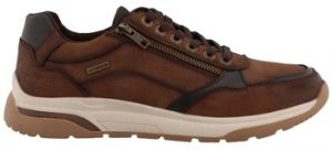 Derbie Westland  Baskets 84R0051001