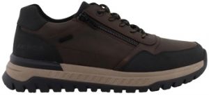 Derbie Westland  Baskets 84R0001001