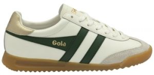 Derbie Gola  Baskets TORPEDO