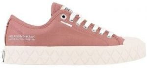 Nízke tenisky Palladium  Baskets 74447-PALLA ACE CVS ORG