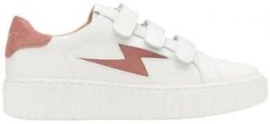 Nízke tenisky Vanessa Wu  Baskets BK2553