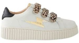 Nízke tenisky Vanessa Wu  Baskets BK2630