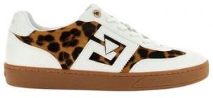Nízke tenisky Guess  Baskets NOCHEE2