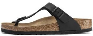 Papuče BIRKENSTOCK  Gizeh