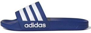 Papuče adidas  Adilette Shower   Royblu/Ftwwht/Royblu