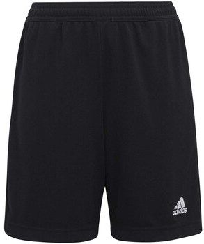 Šortky/Bermudy adidas  Ent22 Tr Shoy