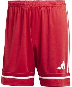 Šortky/Bermudy adidas  Squa25 Sho M