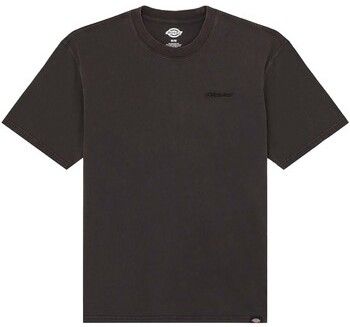 Tričká s krátkym rukávom Dickies  Plentywood Ss Tee