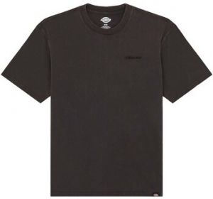 Tričká s krátkym rukávom Dickies  Plentywood Ss Tee