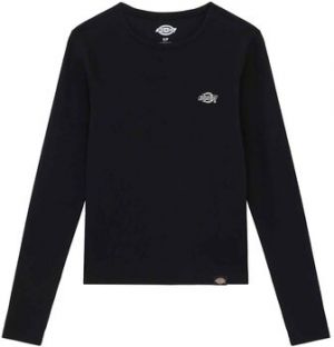 Tričká s dlhým rukávom Dickies  Gladeville Tee Ls W