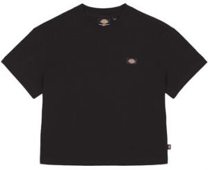Tričká s krátkym rukávom Dickies  Oakport Boxy Ss Tee