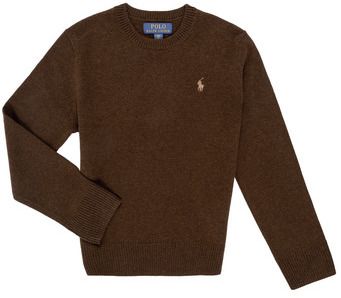 Svetre Polo Ralph Lauren  LS CN TONAL-SWEATER-PULLOVER