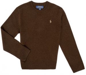 Svetre Polo Ralph Lauren  LS CN TONAL-SWEATER-PULLOVER