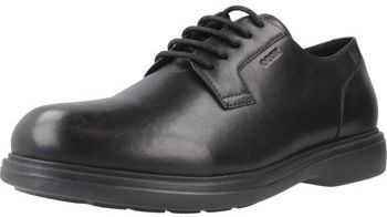 Derbie Geox  U OTTAVIO