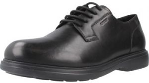Derbie Geox  U OTTAVIO