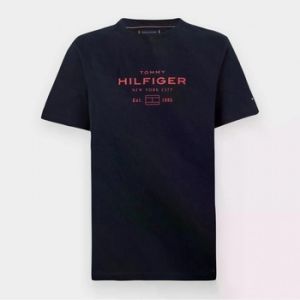 Tričká s krátkym rukávom Tommy Hilfiger  HILFIGER STACK GRAPHIC T