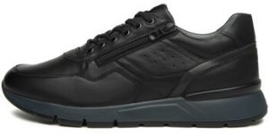Módne tenisky NeroGiardini  Sagar Deco Sauvage Dark Grey Pu.Bidens.Poggio B16