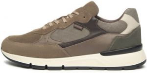 Módne tenisky NeroGiardini  Arold Sauvage Taupe T.Dragon 5046 Savana B