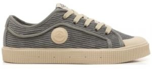 Nízke tenisky Sanjo  K200 Corduroy - Grey