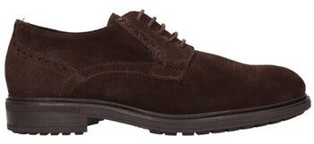 Derbie Pitillos  OBUV  40243
