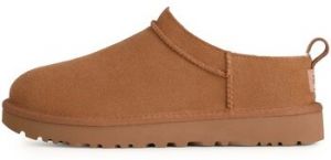 Papuče UGG  W Classic Micro