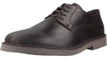 Derbie Boston  1001
