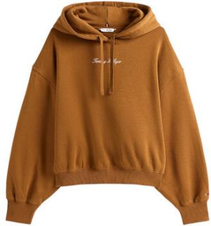 Mikiny Tommy Hilfiger  CLASSIC SCRIPT FLEEC WW0WW47459