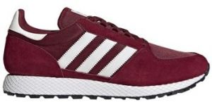 Nízke tenisky adidas  Forest Grove