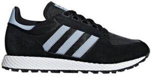 Nízke tenisky adidas  Forest Grove W