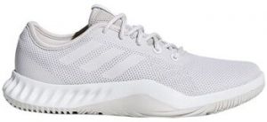 Nízke tenisky adidas  Crazytrain LT W