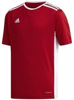 Tričká s krátkym rukávom adidas  JR Entrada 18