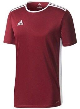 Tričká s krátkym rukávom adidas  JR Entrada 18