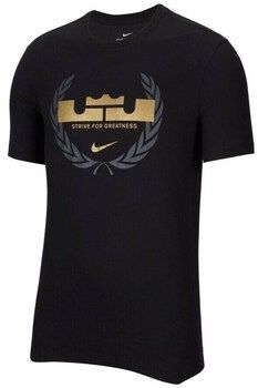 Tričká s krátkym rukávom Nike  Drifit Lebron Logo