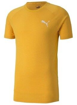 Tričká s krátkym rukávom Puma  Evostripe Lite