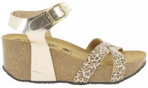 Sandále Plakton  Chaussures