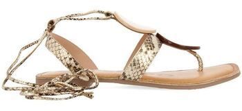 Sandále Gioseppo  Chaussures