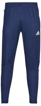 Tepláky/Vrchné oblečenie adidas  TIRO21 TR PNT