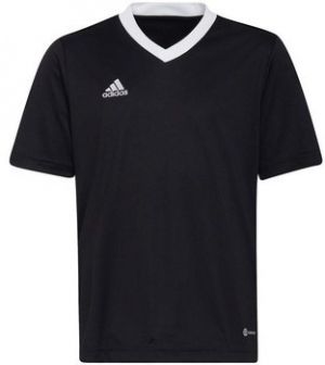 Tričká s krátkym rukávom adidas  Entrada 22 Jsy