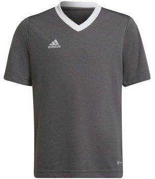 Tričká s krátkym rukávom adidas  Entrada 22 Jsy