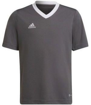 Tričká s krátkym rukávom adidas  Entrada 22 Jsy