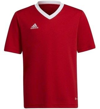 Tričká s krátkym rukávom adidas  Entrada 22 Jsy