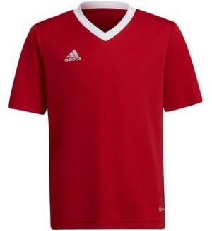 Tričká s krátkym rukávom adidas  Entrada 22 Jsy