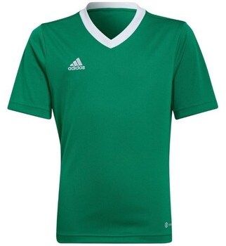 Tričká s krátkym rukávom adidas  Entrada 22