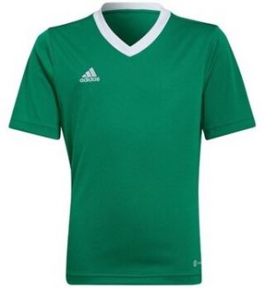 Tričká s krátkym rukávom adidas  Entrada 22