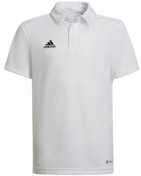 Tričká s krátkym rukávom adidas  Entrada 22