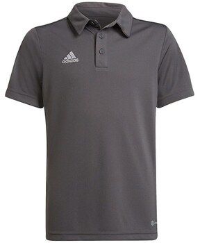Tričká s krátkym rukávom adidas  Entrada 22