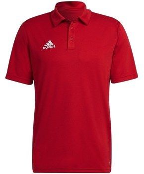 Tričká s krátkym rukávom adidas  Entrada 22